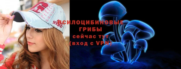 MESCALINE Аркадак